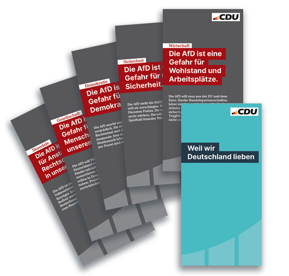 Abbildung der 6 Argukarten zum Thema AfD.